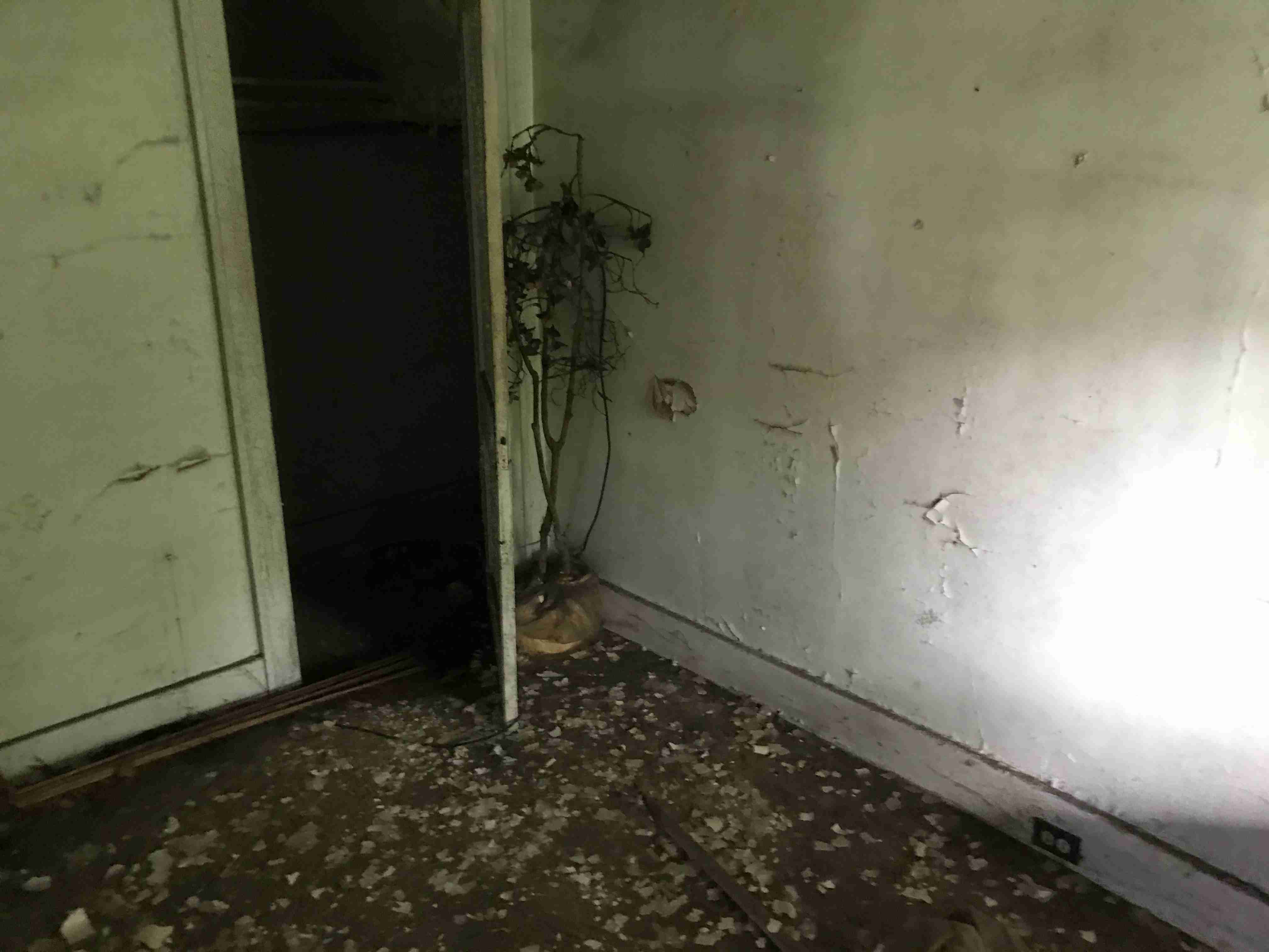 Photo Sep 09, 11 10 16 AM.jpg